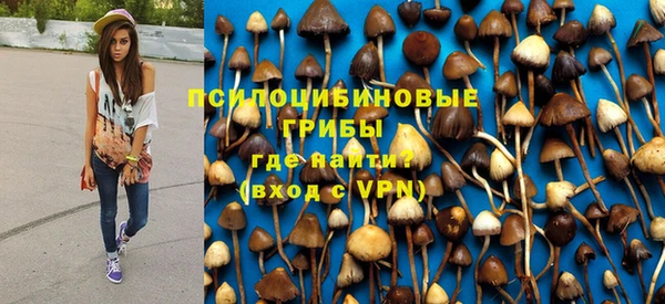 винт Армянск