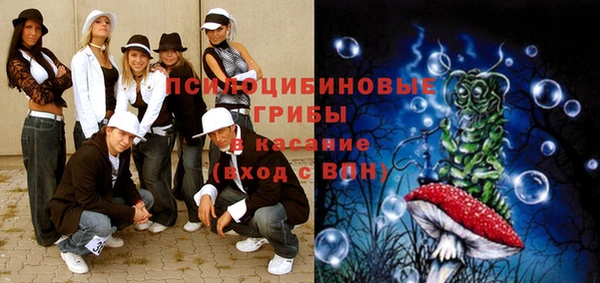 мескалин Арсеньев