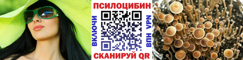 закладка  Рошаль  Галлюциногенные грибы GOLDEN TEACHER 